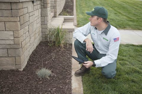 Saela Pest Control | 8016 Durango St SW Suite #4, Lakewood, WA 98499, USA | Phone: (253) 321-1786