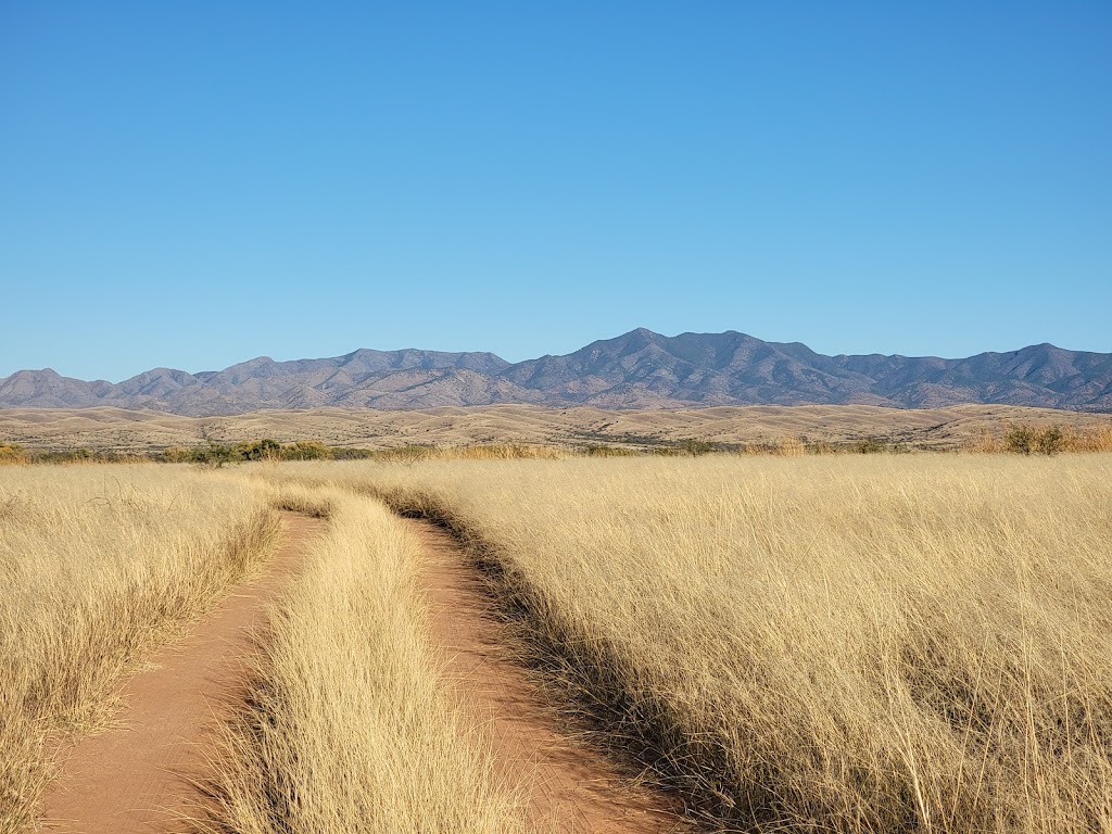 Las Cienegas National Conservation Area | 3201 E Universal Way, Tucson, AZ 85756, USA | Phone: (520) 258-7200