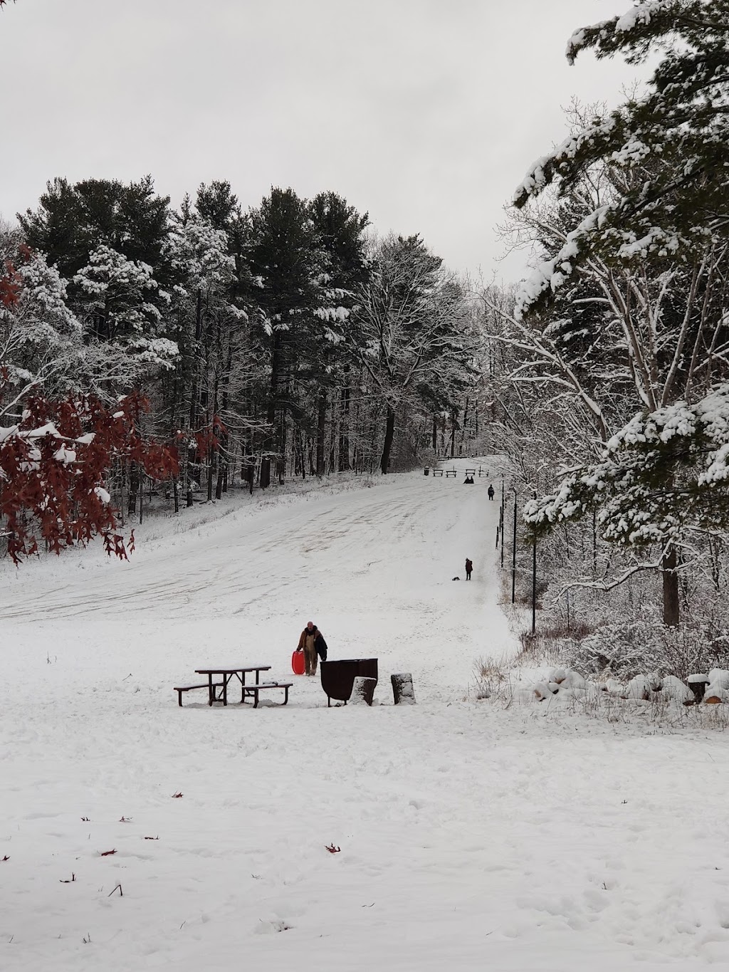 Hinckley Township Sledding Hill | Hinckley, OH 44233, USA | Phone: (330) 278-2160