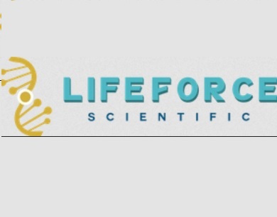 LIFEFORCE Medical Weight Loss | 2539 Palm Bay Rd NE, Palm Bay, FL 32905, United States | Phone: (305) 213-1072