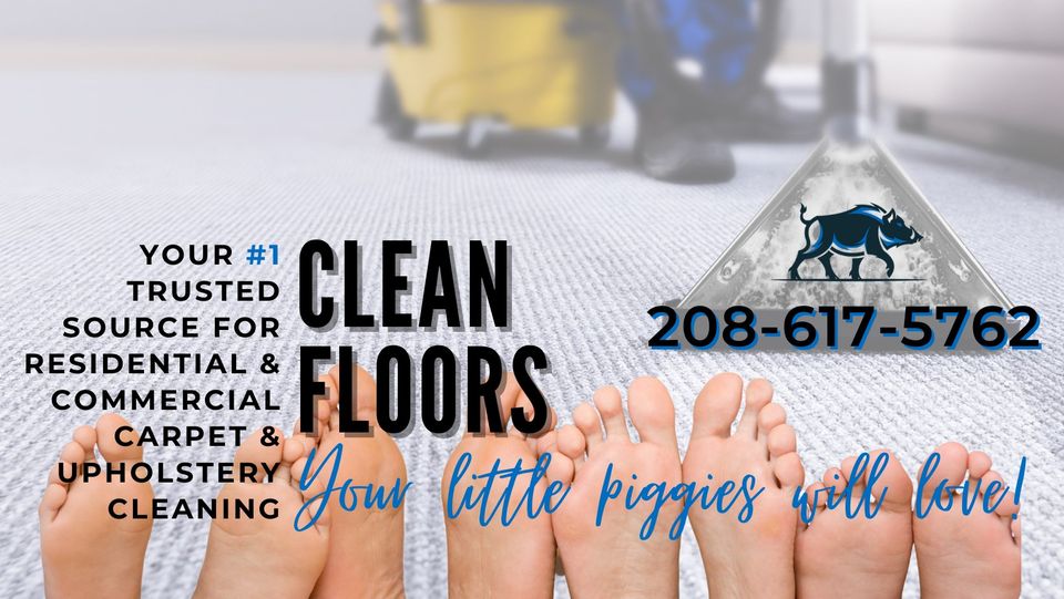 Blue Boar LLC Total Floor Care | 1114-1078 Ruth Ln, Nampa, ID 83686, USA | Phone: (208) 617-5762