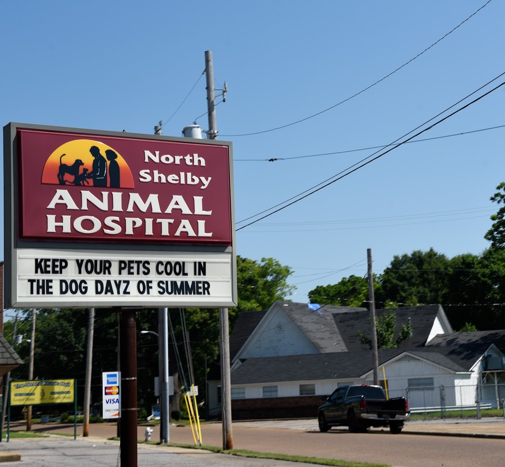 North Shelby Animal Hospital | 5074 Easley St, Millington, TN 38053 | Phone: (901) 873-3291