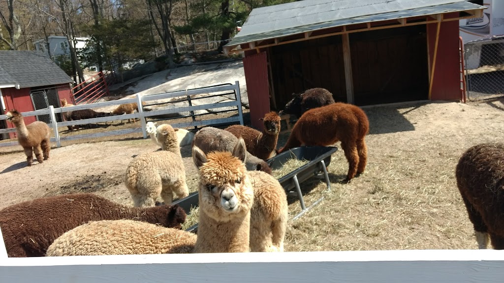 Marshalls Farm Stand | 144 Concord St, Gloucester, MA 01930 | Phone: (978) 283-2168