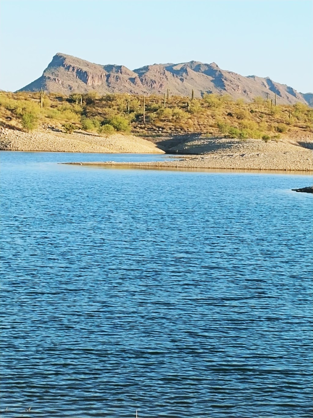 Lake Pleasant Regional Park | 41835 N Castle Hot Springs Rd, Morristown, AZ 85342, USA | Phone: (928) 501-1710