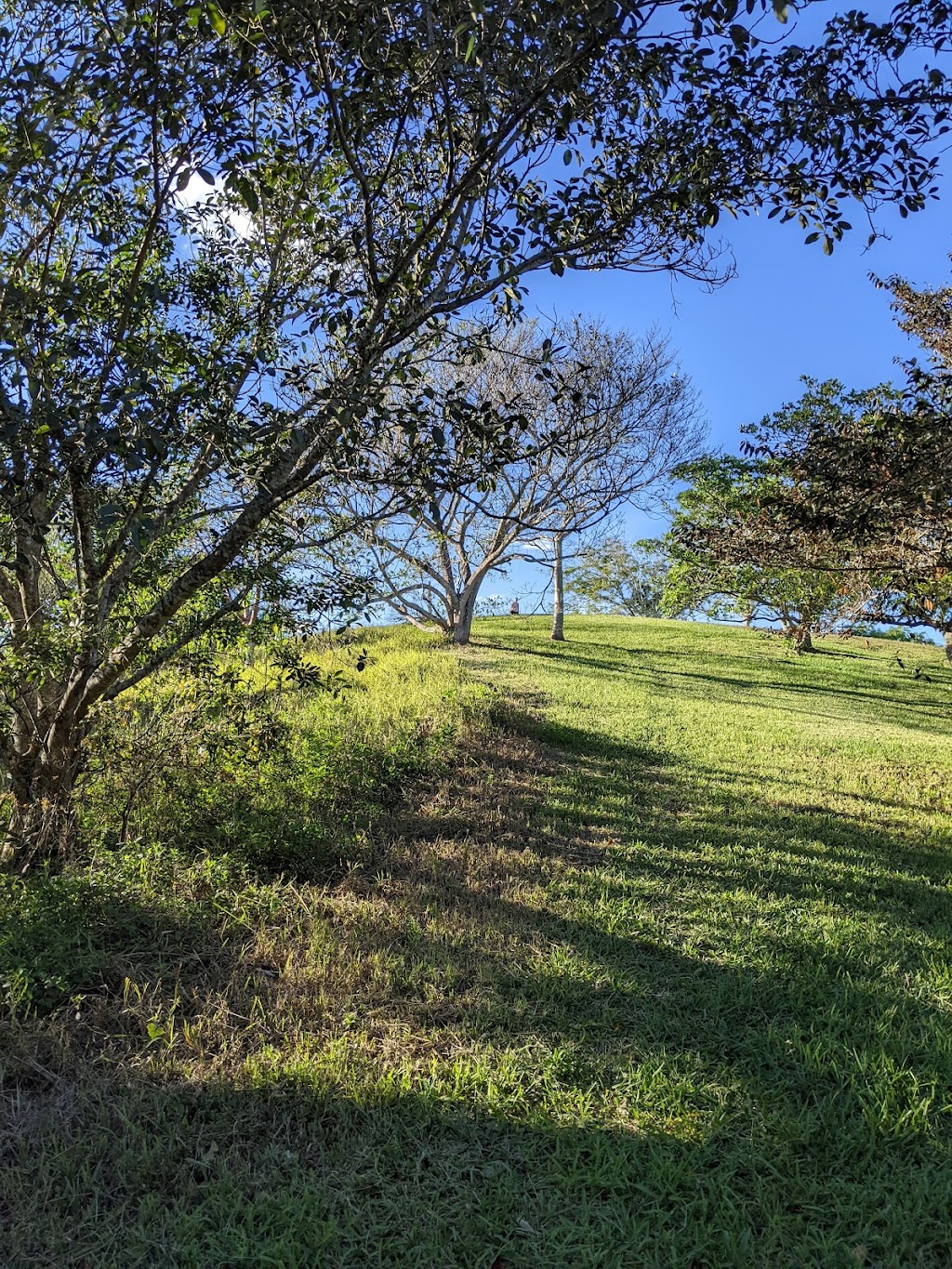 Three Mountains Natural Area | 9200 NW 1st St, Coral Springs, FL 33071, USA | Phone: (954) 345-2200