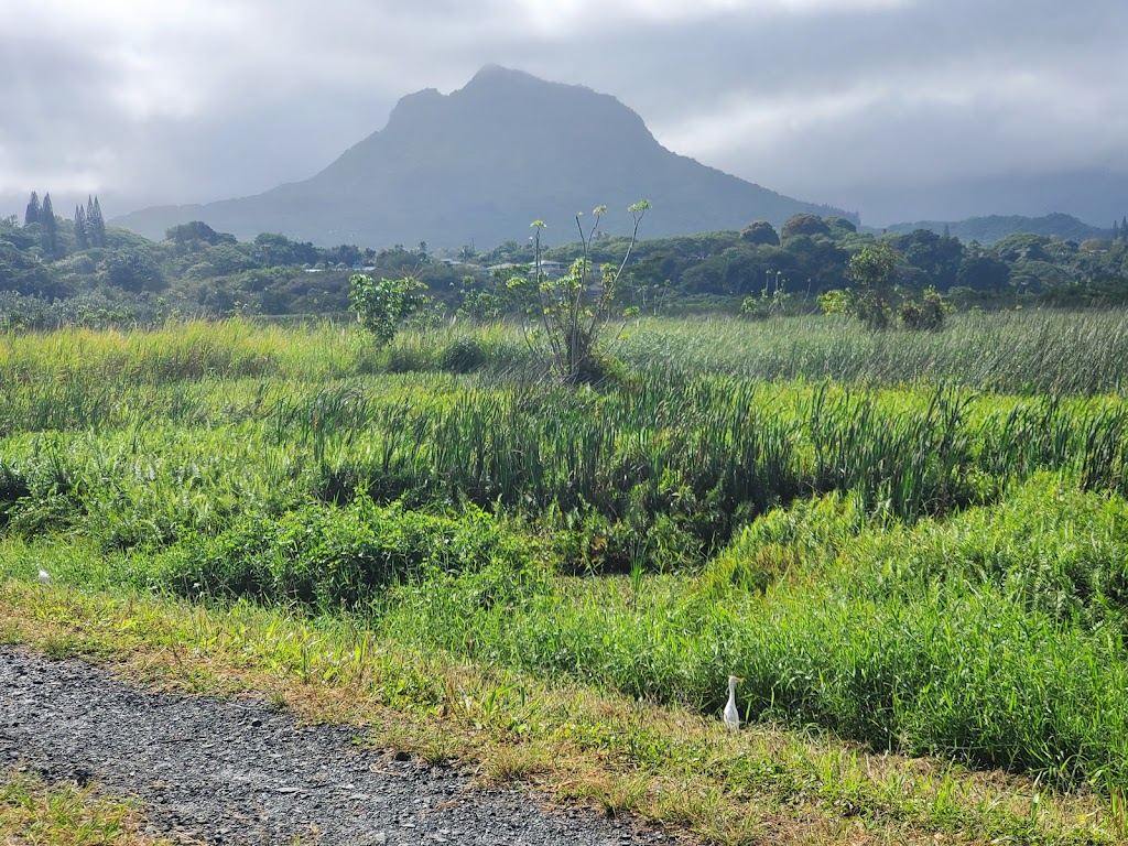 Kawainui Neighborhood Park | 704 Kaha St, Kailua, HI 96734 | Phone: (808) 545-2055