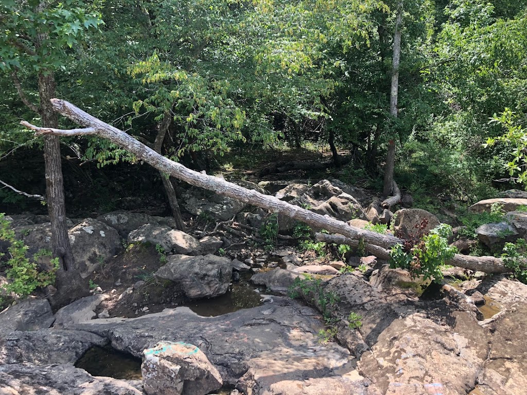 Haw River Canoe Launch (Lower Haw put-in, Middle Haw take-out) | River Access Rd, Pittsboro, NC 27312, USA | Phone: (919) 362-0586