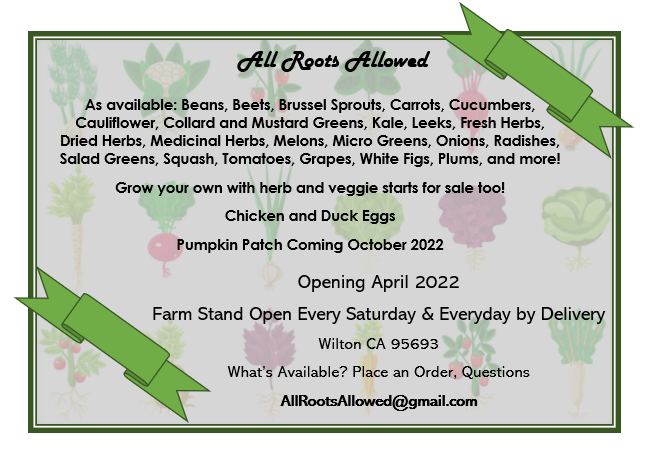 All Roots Allowed | 12003 Walmort Rd, Wilton, CA 95693, USA | Phone: (530) 492-9344