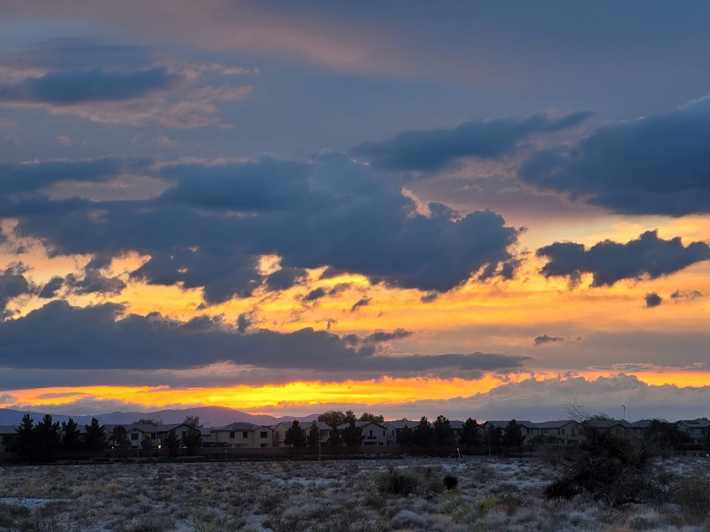 Tule Springs Fossil Beds National Monument | Las Vegas, NV 89124, USA | Phone: (702) 293-8853