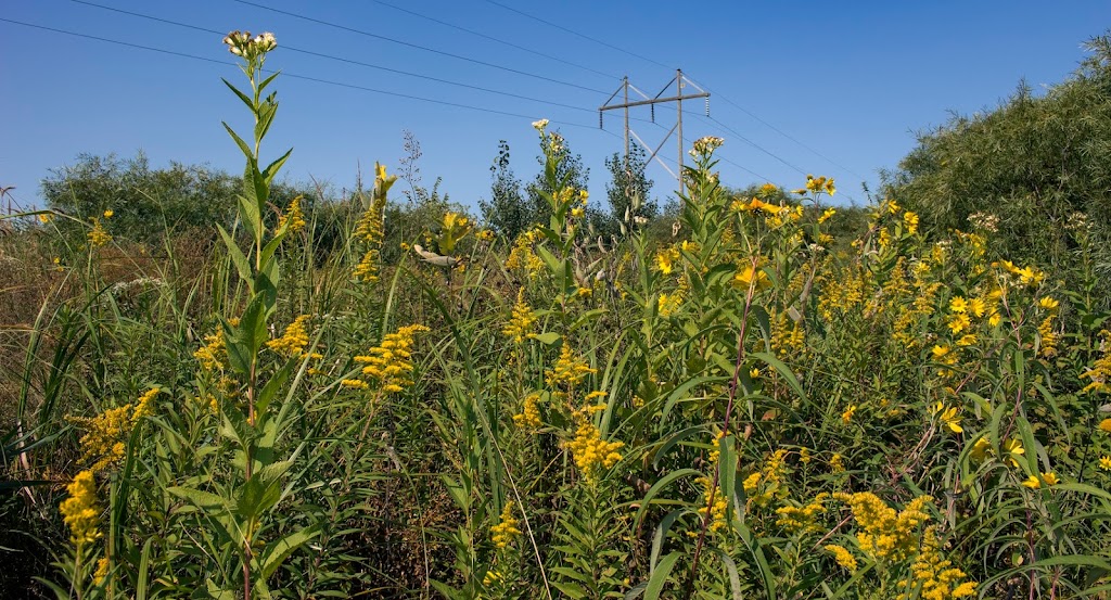 Kessler Railroad Prairie State Natural Area | Janesville, WI 53548 | Phone: (888) 936-7463