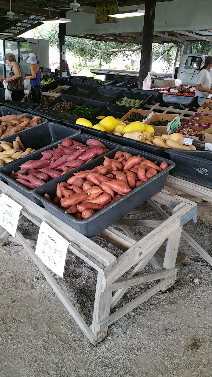 Jessicas Organic Farm | 4180 47th St, Sarasota, FL 34235, USA | Phone: (941) 363-1586