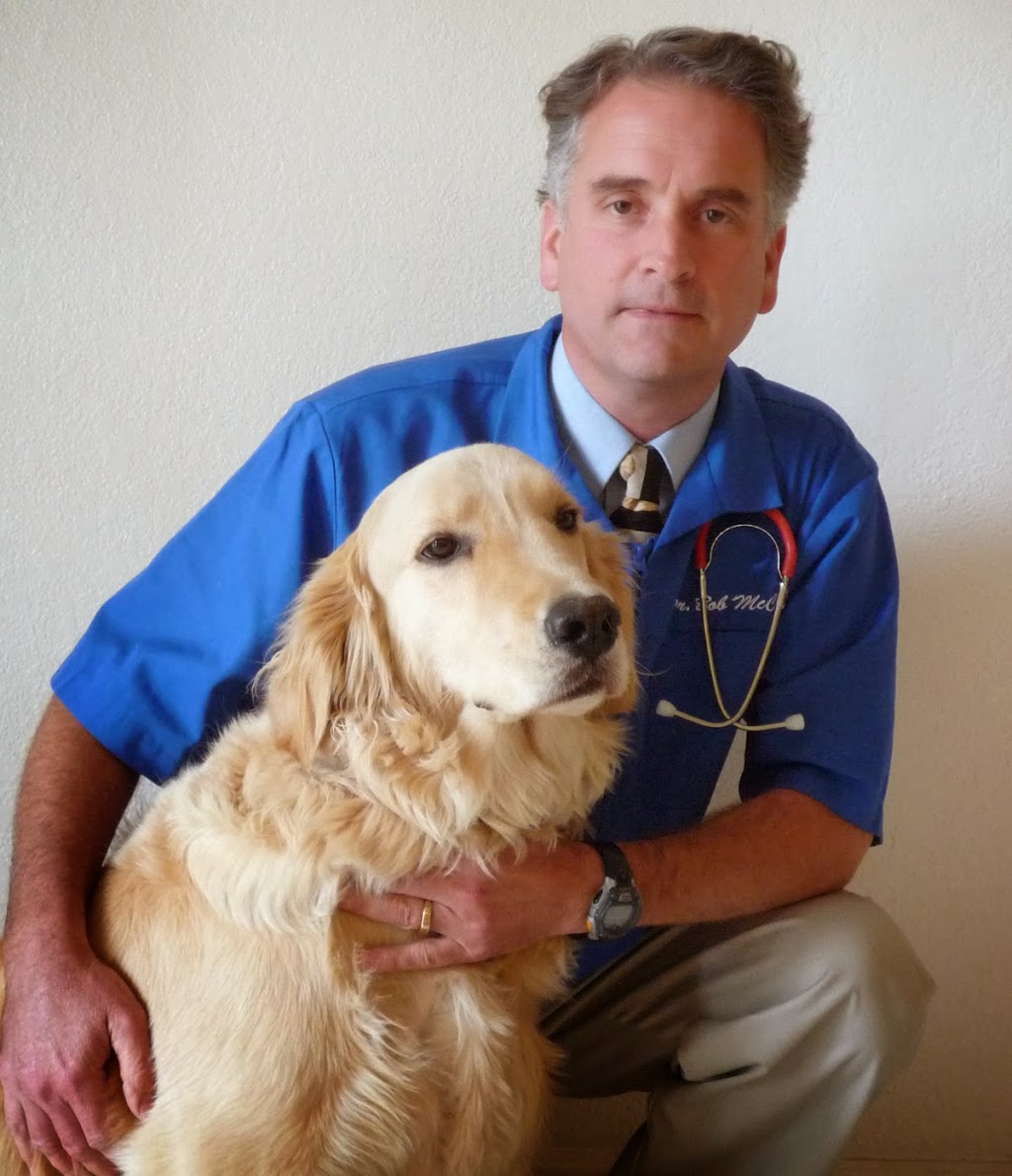 Best Friends Veterinary Hospital | 14861 Pomerado Rd, Poway, CA 92064, USA | Phone: (858) 679-7387