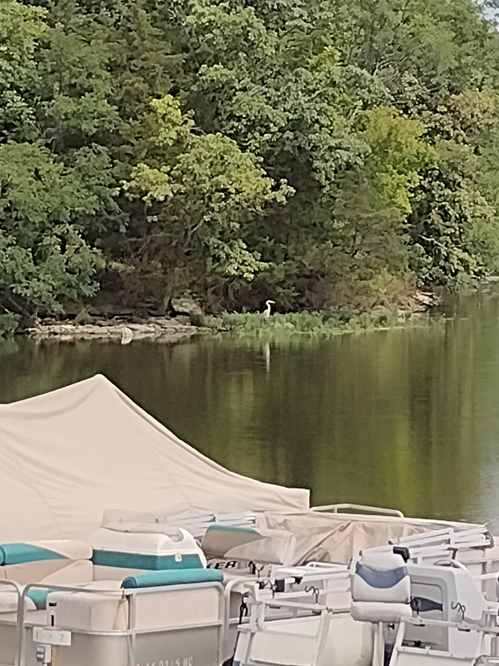 Dons Marina & Willisburg Lake Campground | 11528 KY-555, Willisburg, KY 40078, USA | Phone: (502) 680-2297