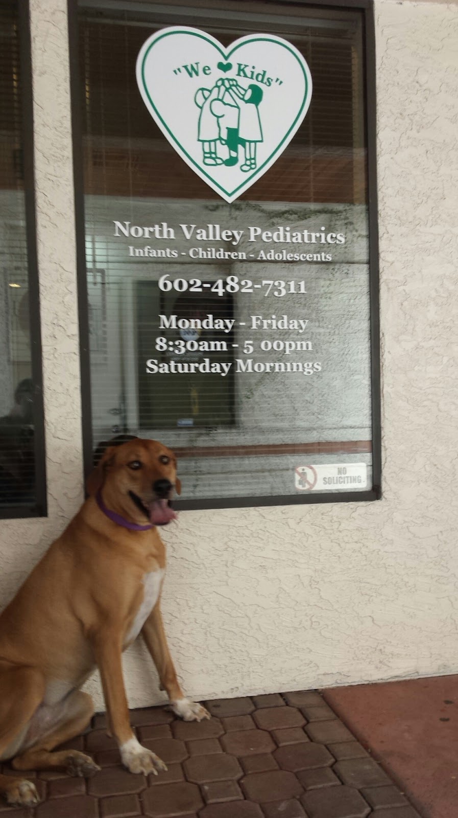 North Valley Pediatrics, Pc | 14045 N 7th St, Phoenix, AZ 85022, USA | Phone: (602) 482-7311