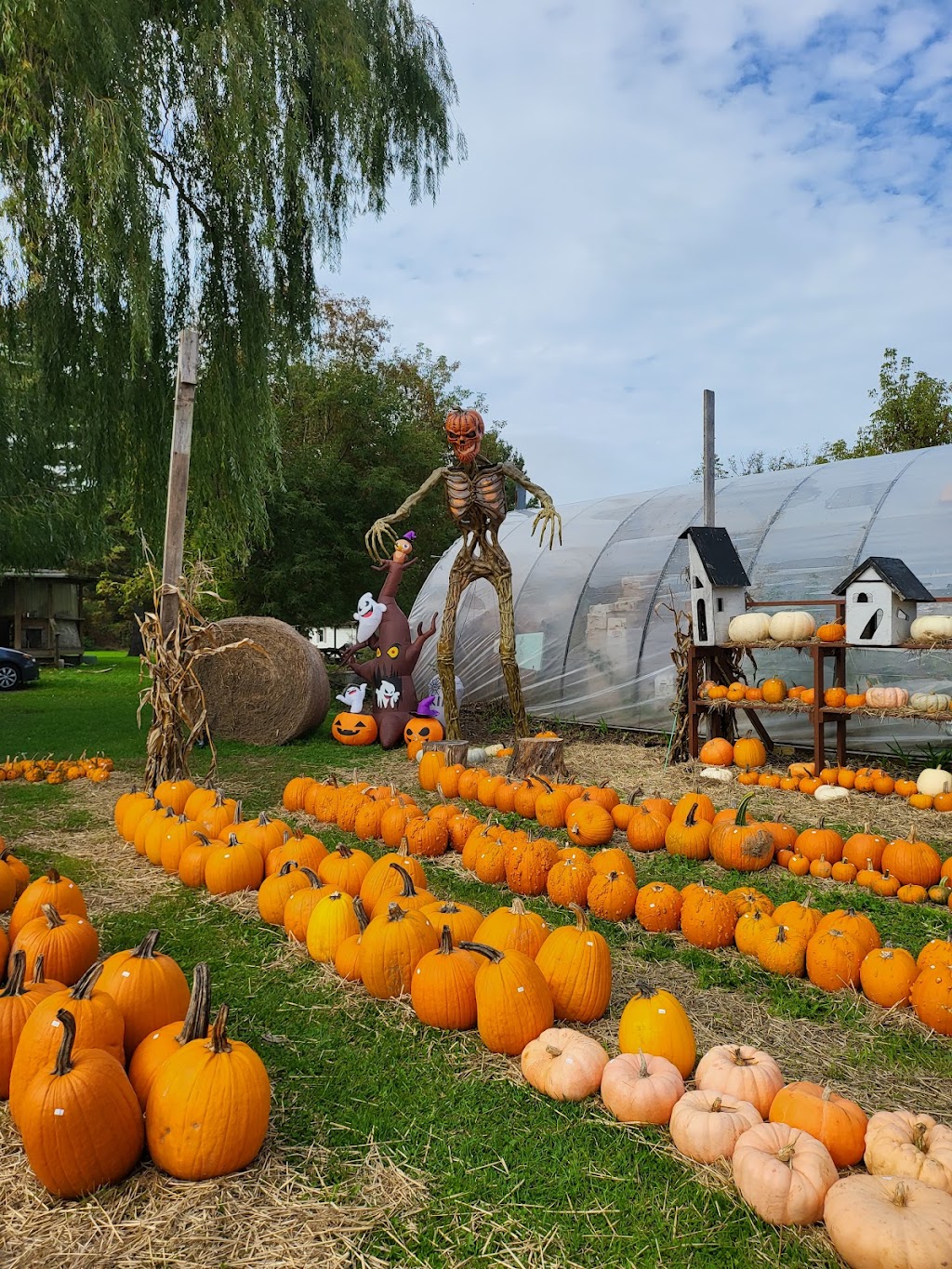 Bill & Gerry Kydds Farm Market | 3573 Saunders Settlement Rd, Sanborn, NY 14132, USA | Phone: (716) 731-5003