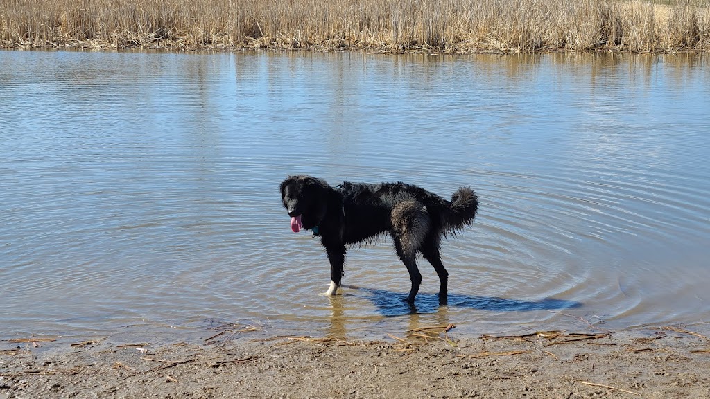 Elm Creek Park Reserve - Dog Off-leash Area | 11750 Zachary Ln N, Champlin, MN 55316, USA | Phone: (763) 694-7894