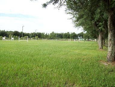 Alipar Equestrian | 17321 Morris Bridge Rd, Thonotosassa, FL 33592, USA | Phone: (813) 782-3220