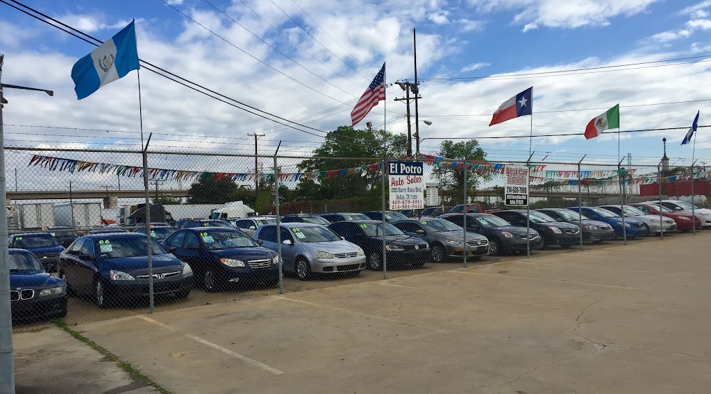 El Potro Auto Sales | 10220 Harry Hines Blvd, Dallas, TX 75220, USA | Phone: (214) 904-9442