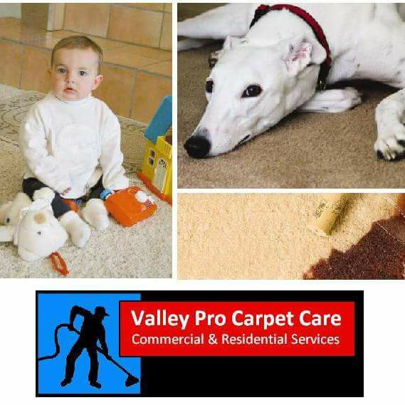 Valley Pro Carpet Care | 309 Del Prado Ct, Modesto, CA 95351, USA | Phone: (209) 505-8068