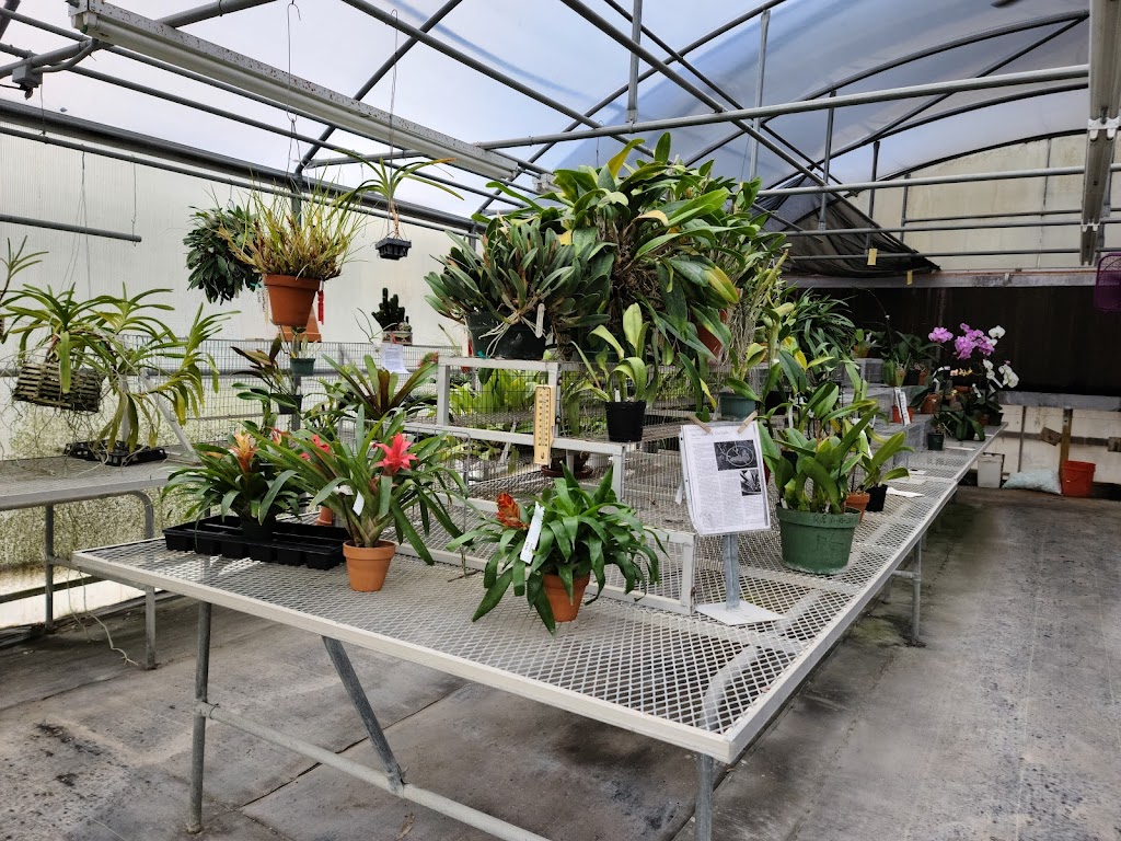 Hill Country African Violets and Nursery | 32005 I. H. 10 West, Boerne, TX 78006, USA | Phone: (830) 249-2614