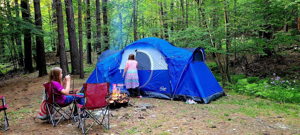 Waterfalls Campsite | 104 Waterfalls Dr, Middleburgh, NY 12122, USA | Phone: (518) 827-5794