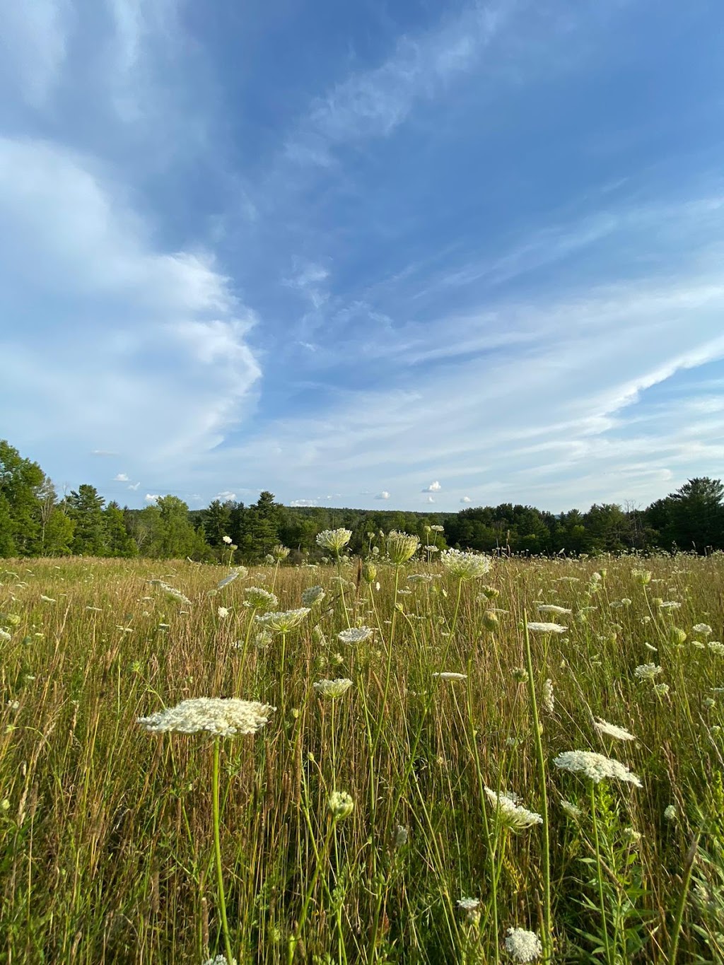 King Creek Farms | 192 Benninger Rd, Delanson, NY 12053, USA | Phone: (518) 768-7447