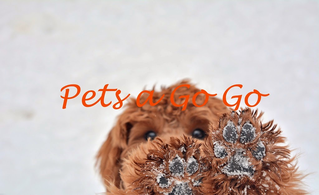 Pets a Go Go LLC | 589 N State Rd, Briarcliff Manor, NY 10510, USA | Phone: (914) 458-4181