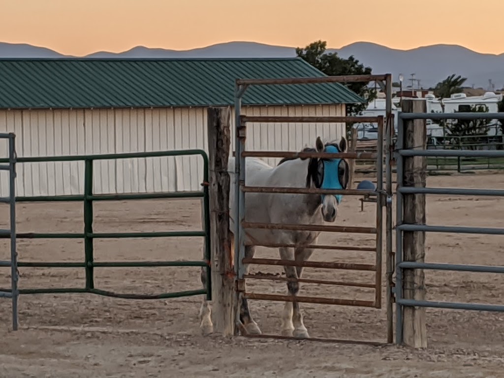 Pueblo West Campground | 480 E McCulloch Blvd, Pueblo West, CO 81007, USA | Phone: (719) 547-9887