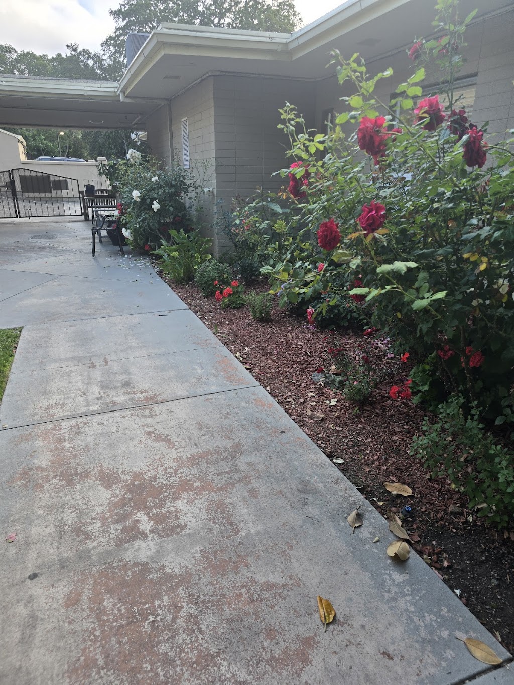 The Villas at Saratoga | 20400 Saratoga-Los Gatos Rd, Saratoga, CA 95070, USA | Phone: (408) 741-2950