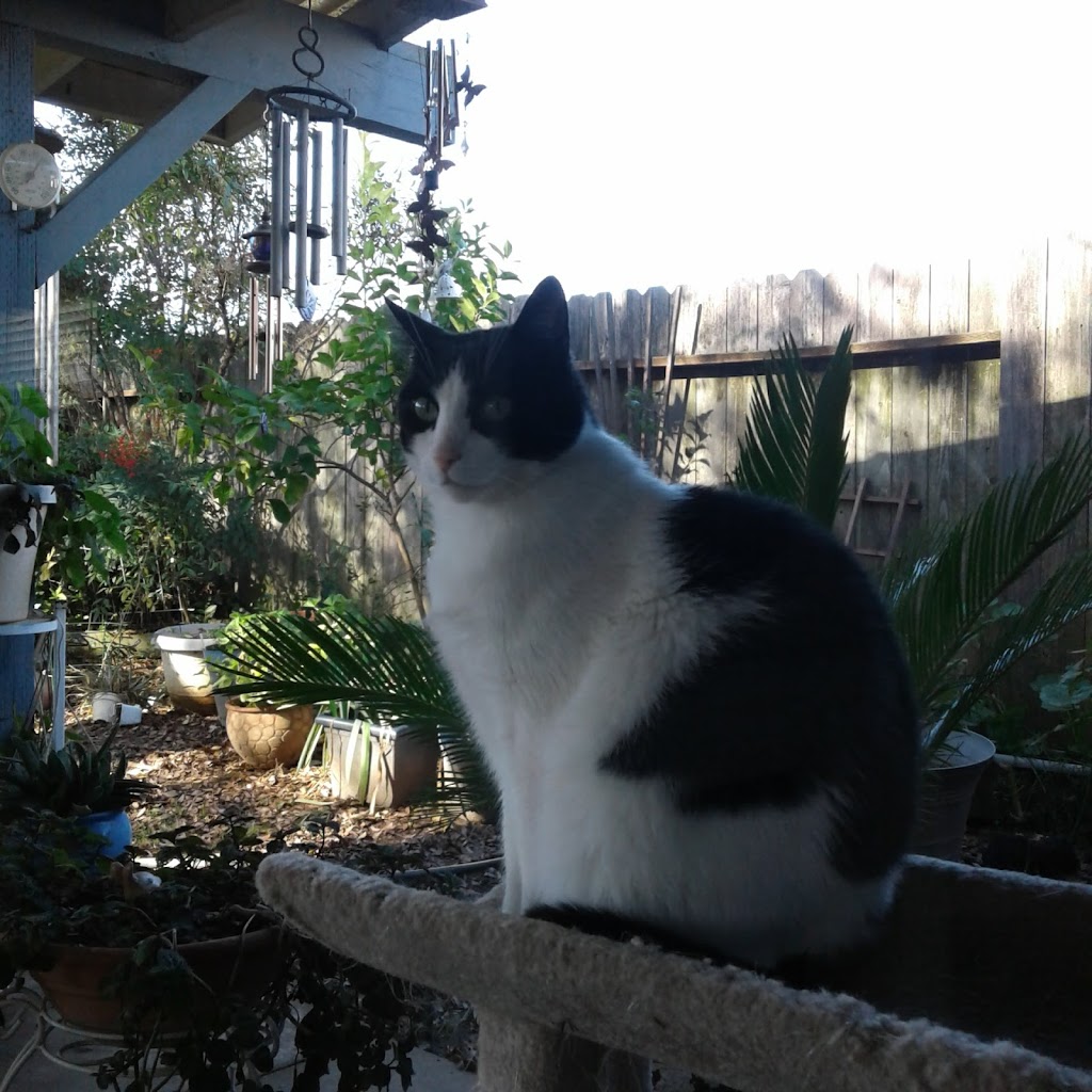 Sunset345sohui | 6349 Edgewood Way, Rocklin, CA 95677, USA | Phone: (916) 300-1512