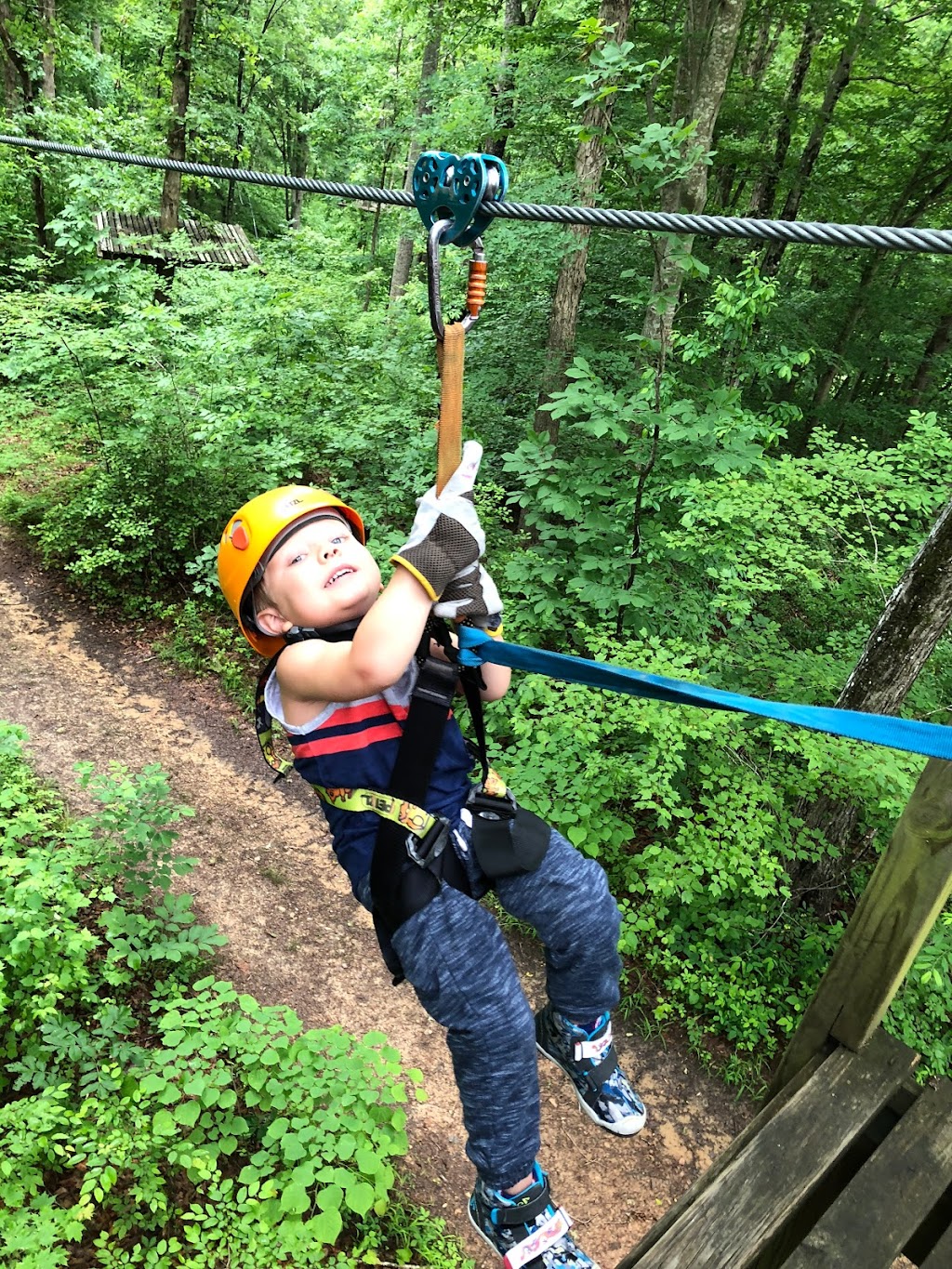 Carolina Ziplines Canopy Tour | 1085 Nickell Farm Rd, Westfield, NC 27053, USA | Phone: (336) 972-7656