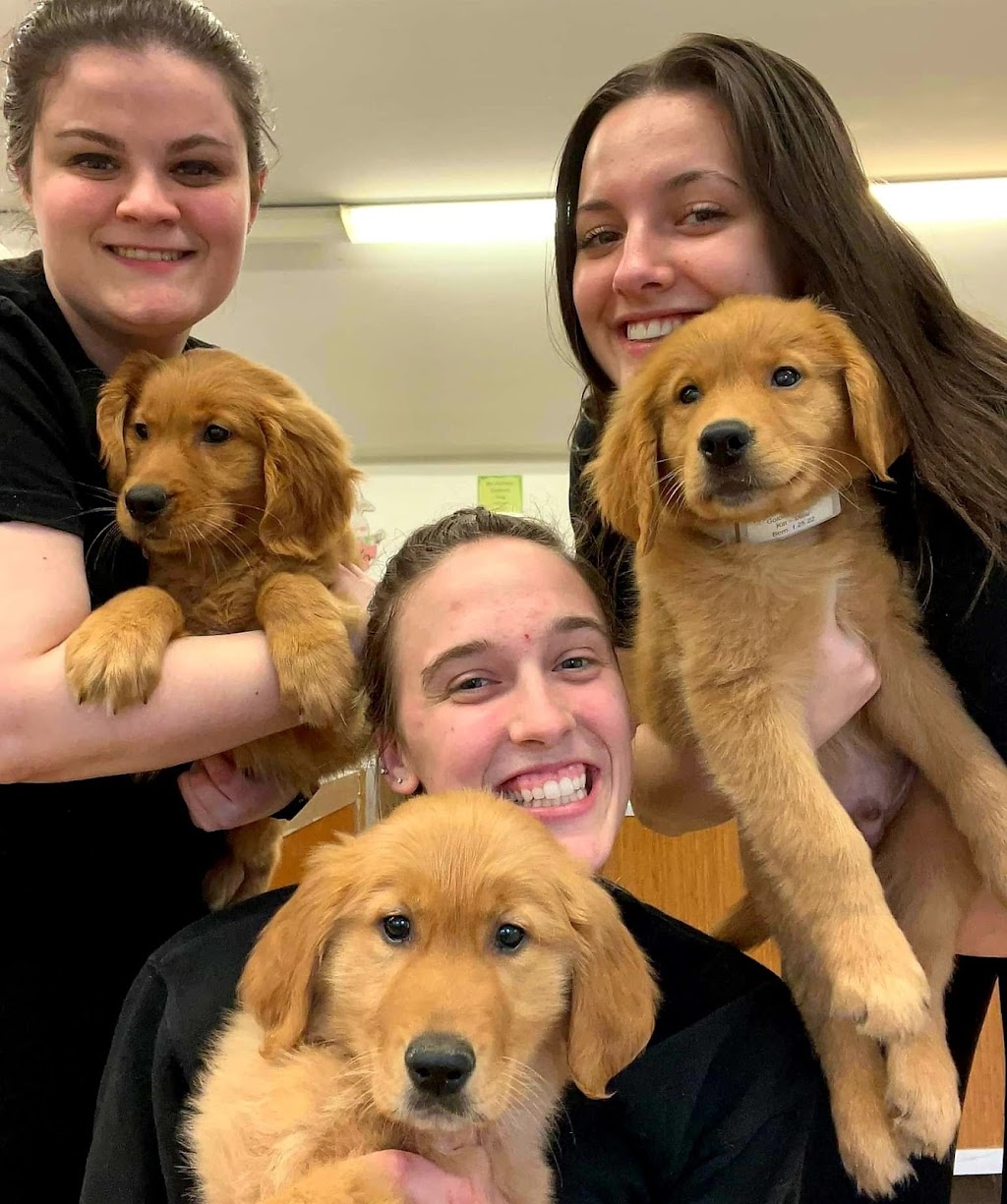 Puppies On The Run Inc | 5 Lowell Rd, Hudson, NH 03051, USA | Phone: (603) 402-4994