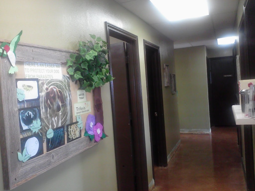 Buckner Terrace Animal Clinic | 3949 St Francis Ave, Dallas, TX 75228, USA | Phone: (214) 324-5579