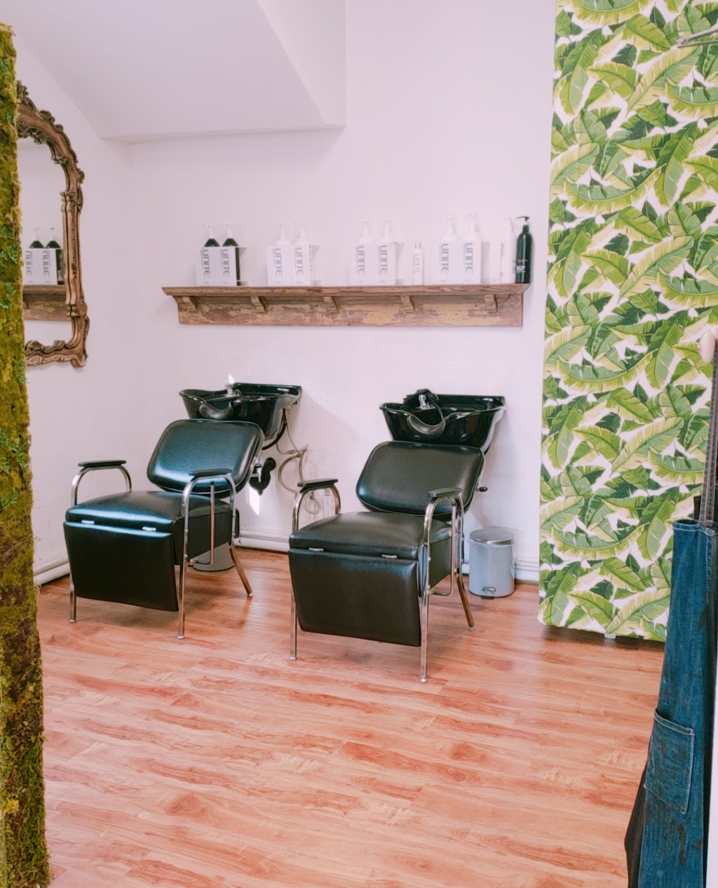 Orange Moon Salon | 953 Park Ave, San Jose, CA 95126, USA | Phone: (408) 292-4343