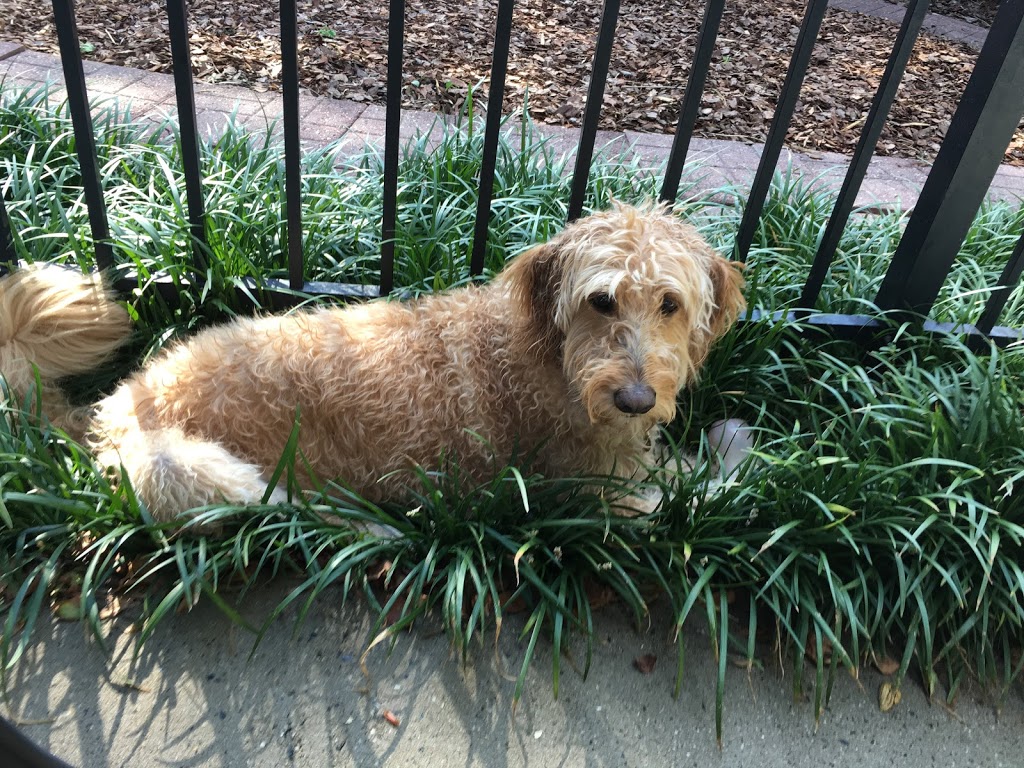 Smile Labs Charlotte | Salon Lofts, 9904 Sandy Rock Pl suite 1, Charlotte, NC 28277, USA | Phone: (704) 231-1976