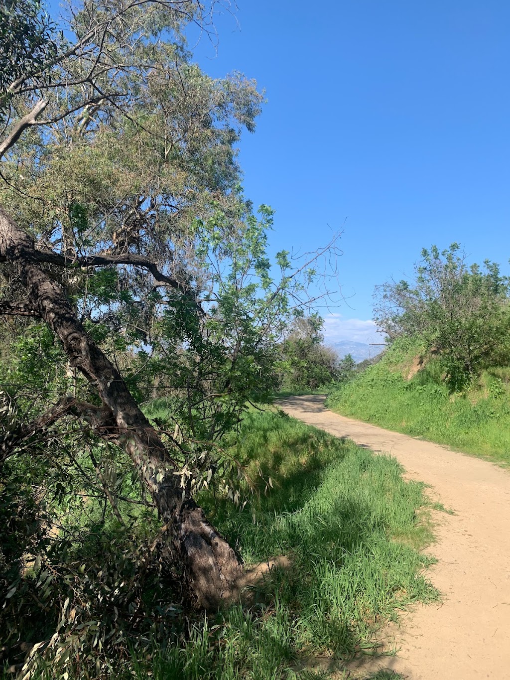 Frogtown Trail | Grand View Dr, Los Angeles, CA 90031, USA | Phone: (213) 847-0926