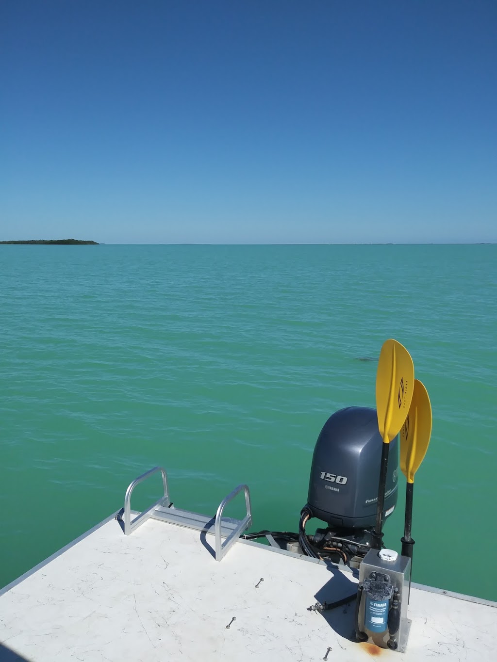 Out There Kayak Expeditions | Mile marker 102 Bayside, 101900 Overseas Hwy, Key Largo, FL 33037, USA | Phone: (305) 394-1158