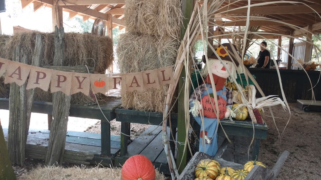 Glaser’s Produce Farm | Unnamed Road, New Roads, LA 70760, USA | Phone: (225) 618-9337