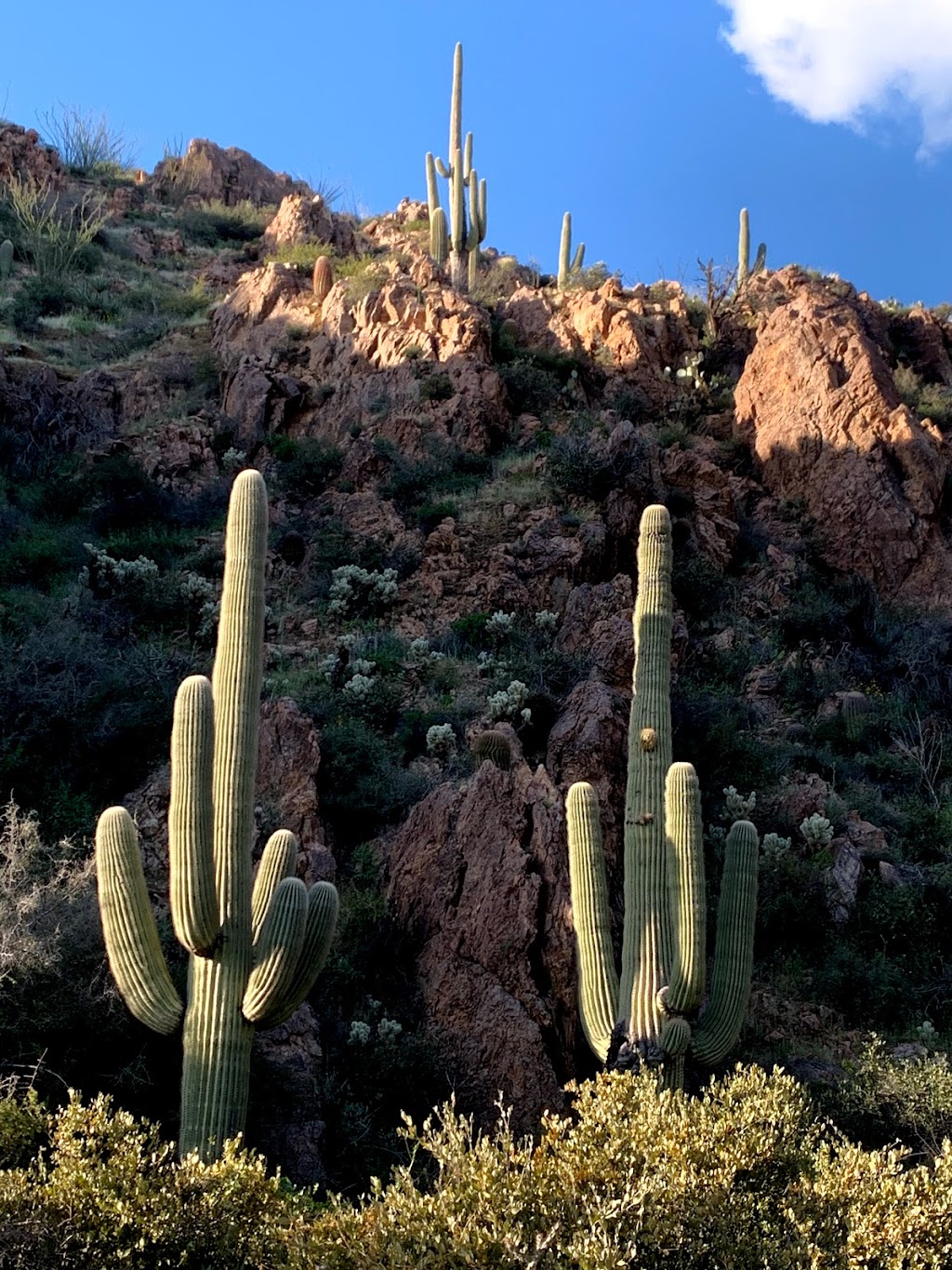 The Ranch at Desert Mountain | Scottsdale, AZ 85262, USA | Phone: (480) 595-4000