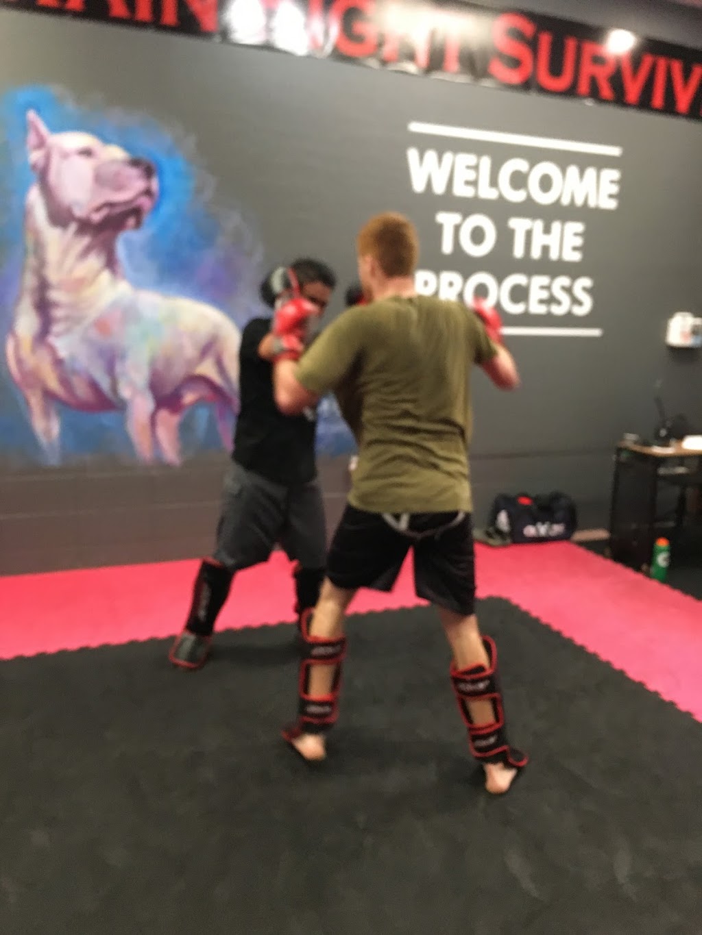 Dogo Krav Maga | 4330 Clayton Rd, Concord, CA 94521, USA | Phone: (925) 349-4575