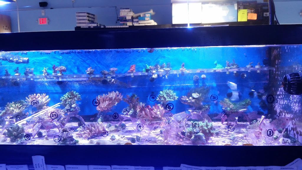 Poseidon Aquarium 1801 S Nova Rd 103, South Daytona, FL 32119, USA