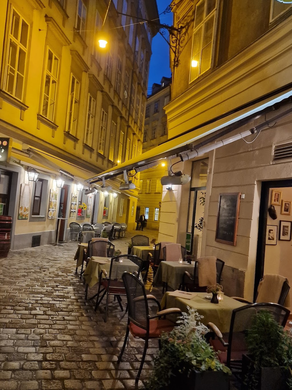 Restaurant Bukowina | Ballgasse 6, 1010 Wien, Austria | Phone: 01 5120628