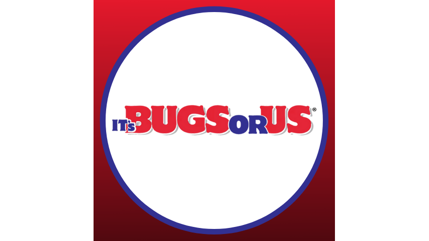Its Bugs Or Us Pest Control - Joshua | 101 Lone Star St, Joshua, TX 76058, USA | Phone: (817) 302-0279