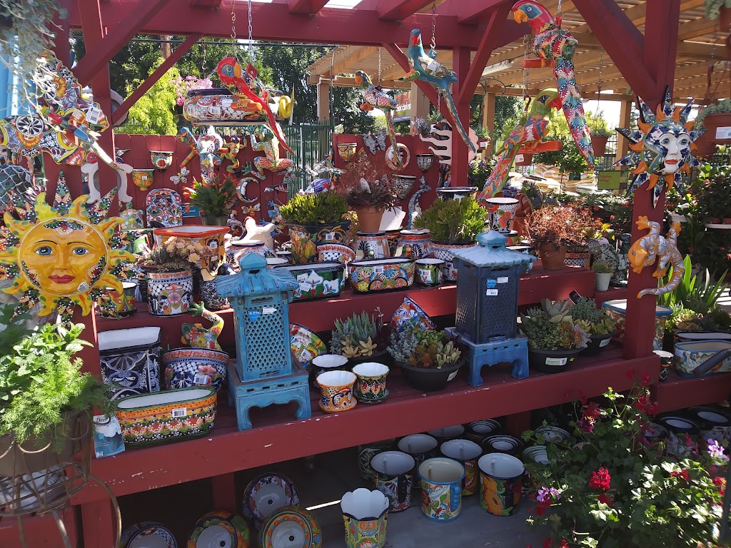 Armstrong Garden Centers | 5816 San Fernando Rd, Glendale, CA 91202, USA | Phone: (818) 243-4227