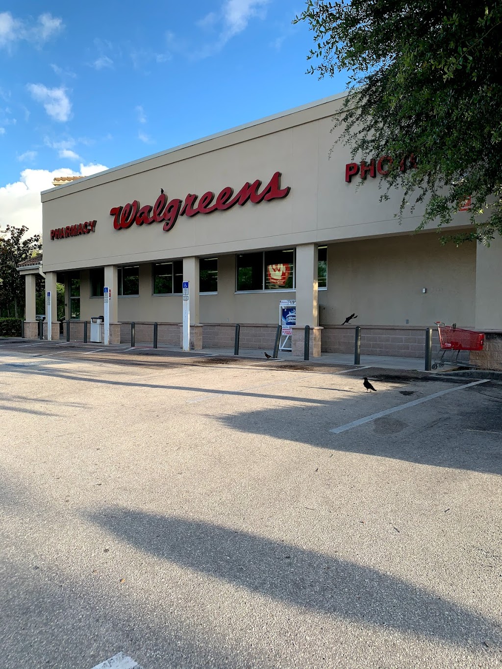 Walgreens | 7305 Spring Hill Dr, Spring Hill, FL 34606, USA | Phone: (352) 688-5242