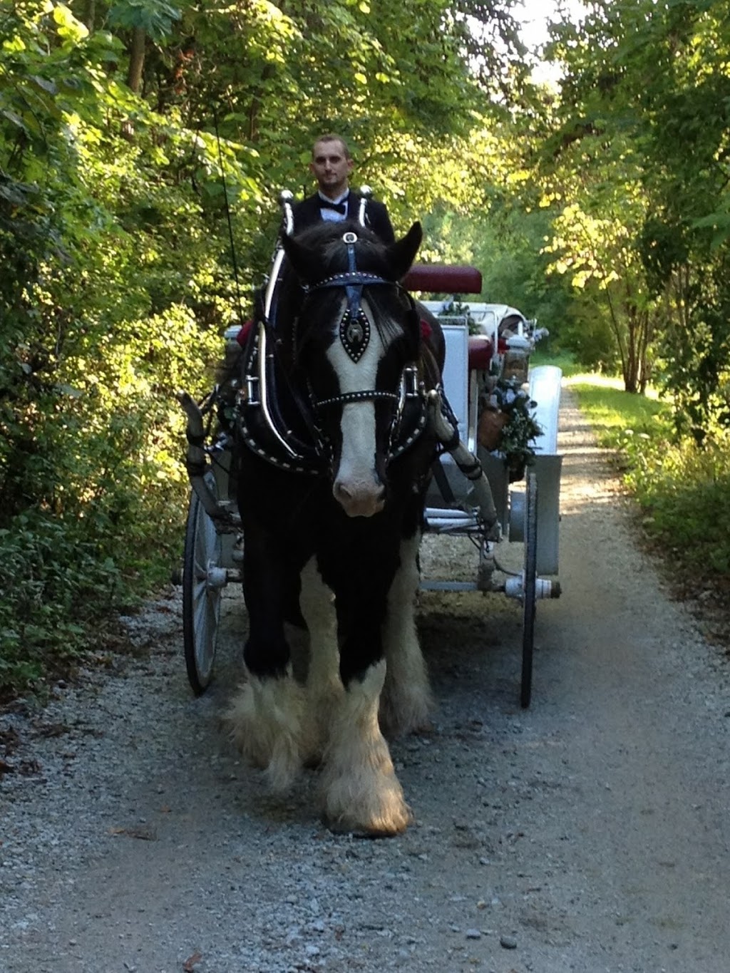 Camelot Carriage Rides | 8655 Winchester Rd, Decatur, IN 46733, USA | Phone: (260) 223-2417