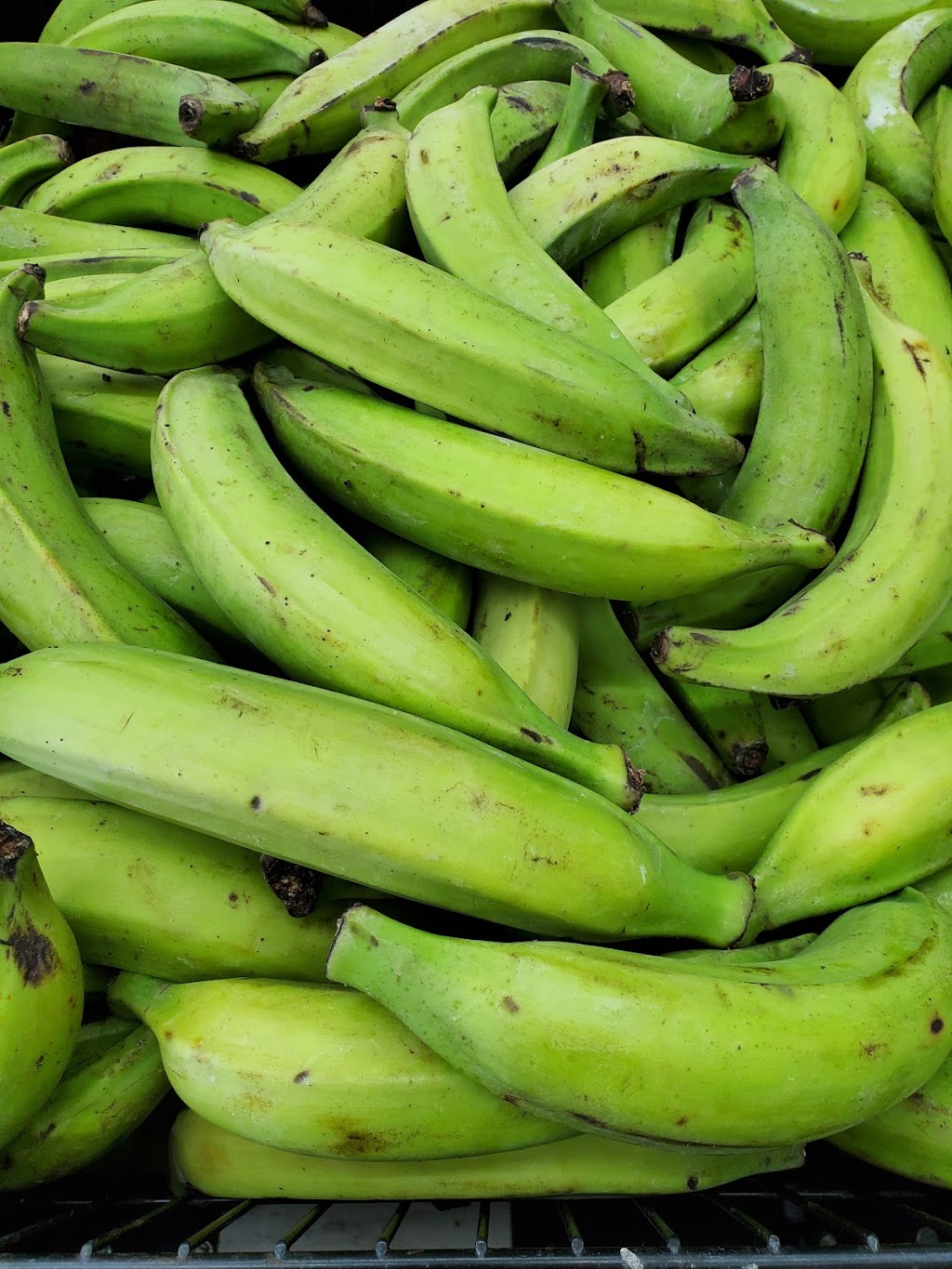 Platanos Power | 13438 US-19, Port Richey, FL 34667, USA | Phone: (727) 378-4214