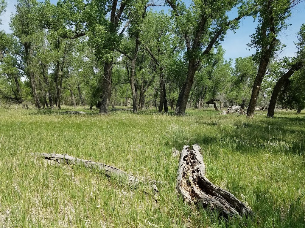 Our Moment in Time at Eagle Talon Ranch | 3900 CO-79, Bennett, CO 80102, USA | Phone: (720) 520-0093