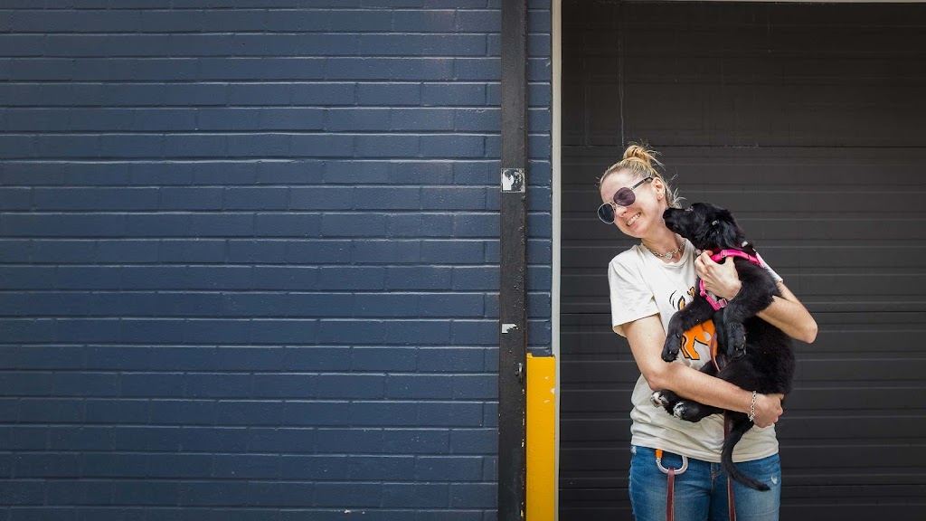 King Pup | 27 Loisaida Ave #3A, New York, NY 10009, USA | Phone: (917) 683-2229