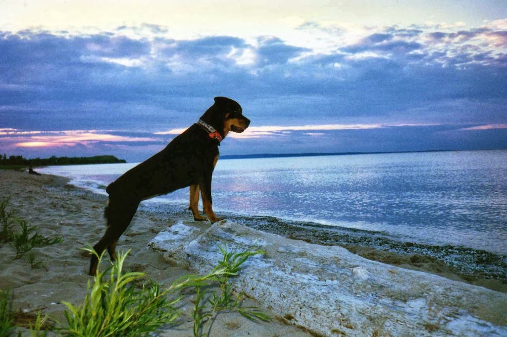 Blue Sky Animal Hospital | 26850 Kettle River Blvd N, Wyoming, MN 55092, USA | Phone: (651) 462-7387